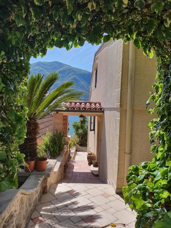 La Grande Apartments Kotor Exterior photo